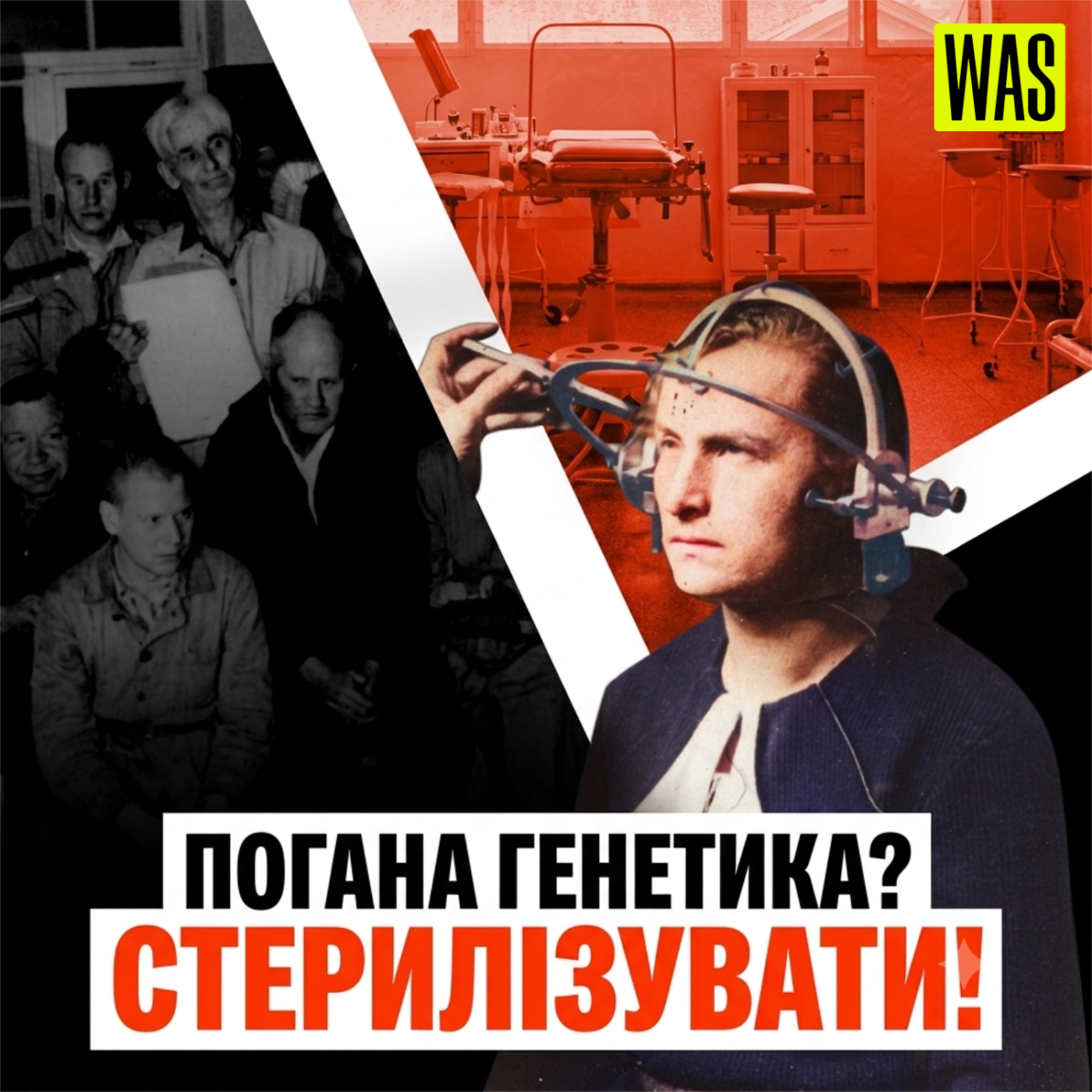 Без права на розмноження: шокуюча правда про примусову стерилізацію у Швеції